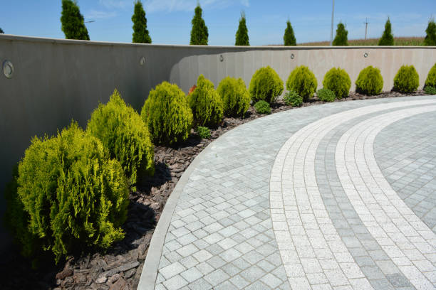 Best Custom Driveway Pavers  in Saranac, MI